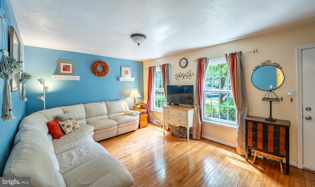 118 Roboda Blvd, Royersford, PA 19468 - living area with plenty of natural light and wood-type flooring