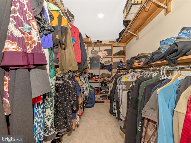 24129 Pecan Grove Ln, Gaithersburg, MD 20882 - walk in closet featuring carpet flooring