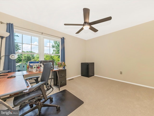 24129 Pecan Grove Ln, Gaithersburg, MD 20882 - home office with ceiling fan and light colored carpet