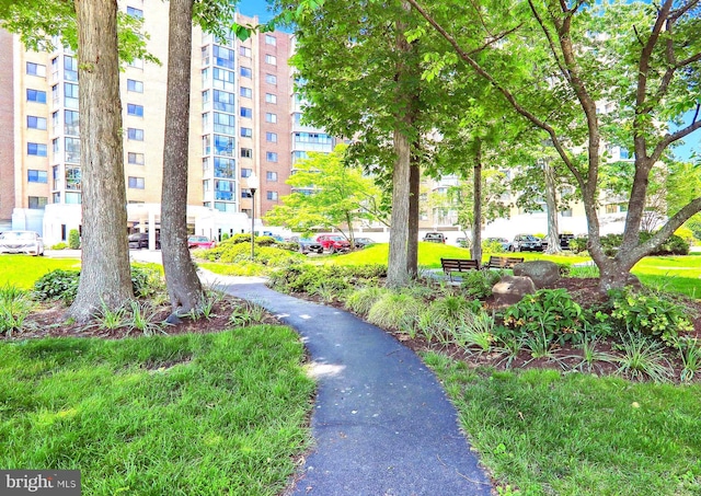 15101 Interlachen Dr Unit 1-126, Silver Spring, MD 20906 - surrounding community