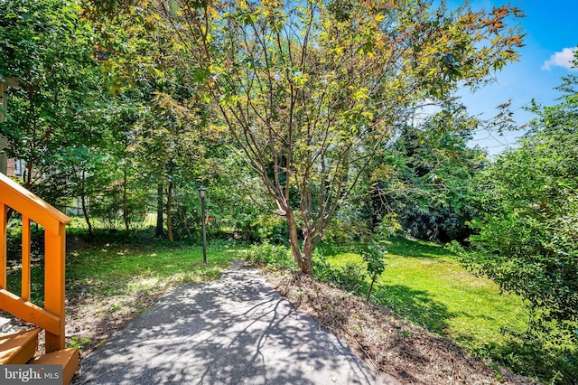 808 Olmstead Rd, Baltimore, MD 21208 - view of grassy yard featuring a patio area
