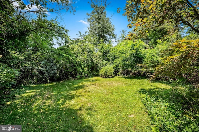 808 Olmstead Rd, Baltimore, MD 21208 - view of green lawn featuring a wooded view