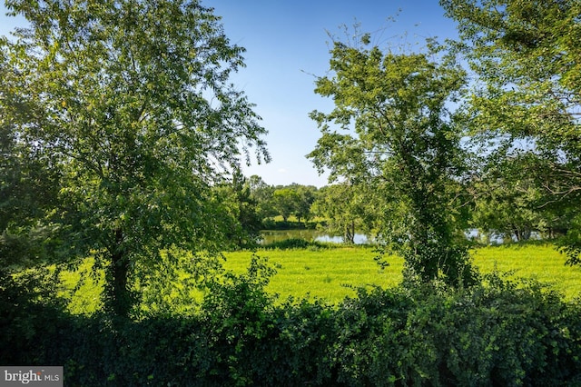 29 Hunters Creek Cir, Mullica Hill, NJ 08062 - view of local wilderness with a nearby body of water