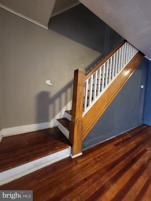 542 S 14 1/2 St, Reading, PA 19602 - stairs featuring wood finished floors