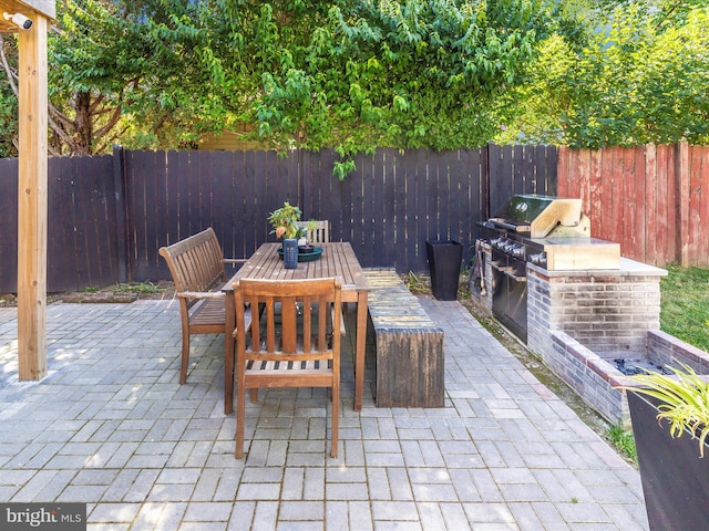 23 W 5th St, Frederick, MD 21701 - fenced backyard featuring a patio area, outdoor dining space, and an outdoor kitchen