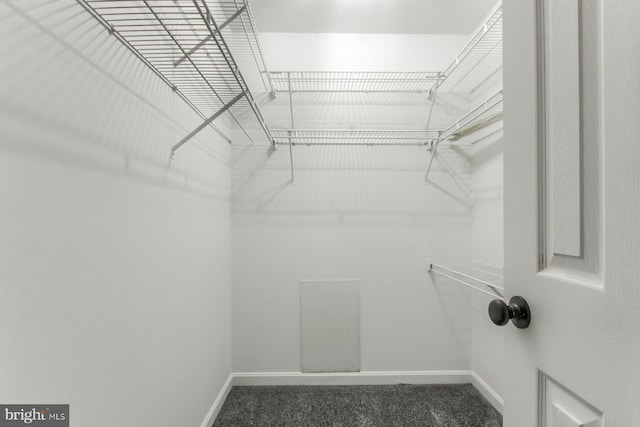128 Azalea Dr, Hershey, PA 17033 - spacious closet featuring carpet