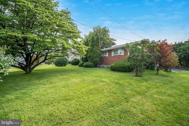 1402 Lehigh St, Allentown, PA 18103 - view of grassy yard