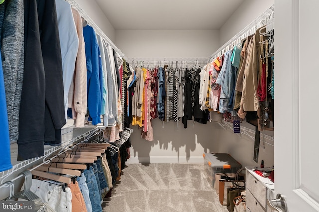 303 Petunia Way, Stafford, VA 22554 - walk in closet with carpet floors