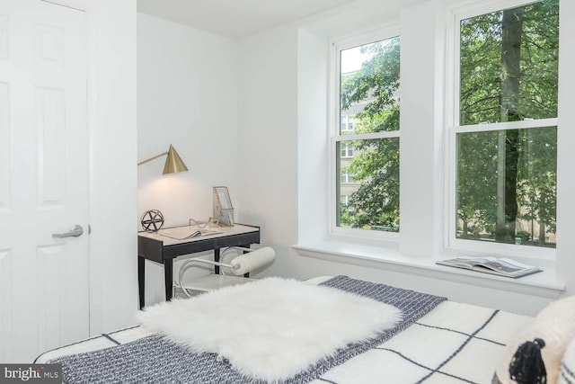 1308 Clifton St NW Unit 118, Washington, DC 20009 - view of bedroom