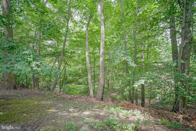 240 Winding Way Rd, Stratford, NJ 08084