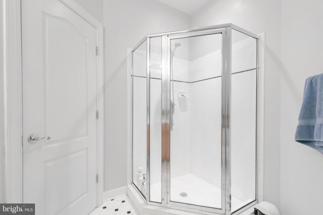 19363 Mill Dam Pl, Leesburg, VA 20176 - full bath featuring a shower stall and baseboards