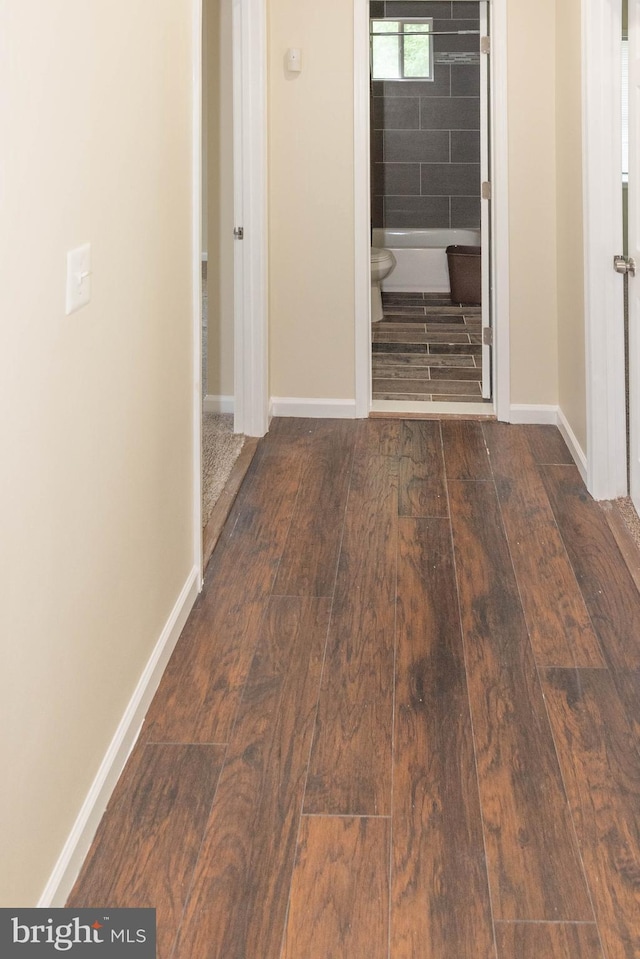 3923 Fairview Ave, Baltimore, MD 21216 - hall with hardwood / wood-style floors