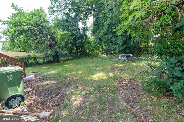 3923 Fairview Ave, Baltimore, MD 21216 - view of yard