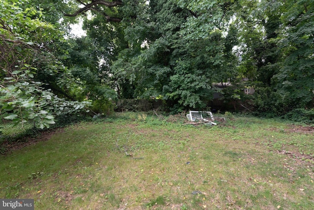 3923 Fairview Ave, Baltimore, MD 21216 - view of grassy yard