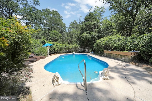 26 Worrell Rd, Tabernacle, NJ 08088 - outdoor pool featuring a patio