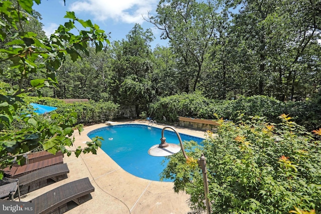 26 Worrell Rd, Tabernacle, NJ 08088 - swimming pool featuring a diving board and a patio area