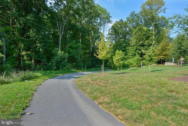 12150 Grey Squirrel St, Clarksburg, MD 20871 - view of road featuring a forest view