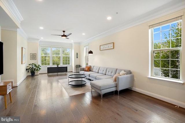 12150 Grey Squirrel St, Clarksburg, MD 20871 - living room featuring plenty of natural light, crown molding, a ceiling fan, wood finished floors, and recessed lighting