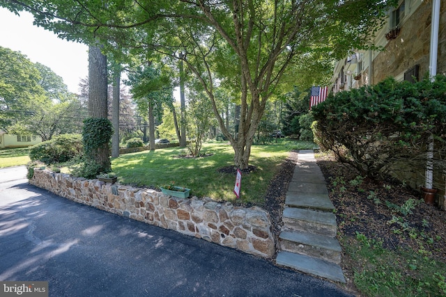 406 Devon State Rd, Devon, PA 19333 - view of green lawn