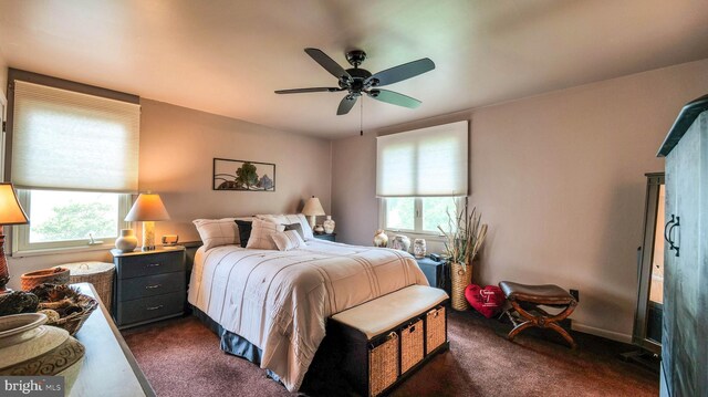 32 Lakeshore Dr, Hammonton, NJ 08037 - bedroom with dark colored carpet and a ceiling fan