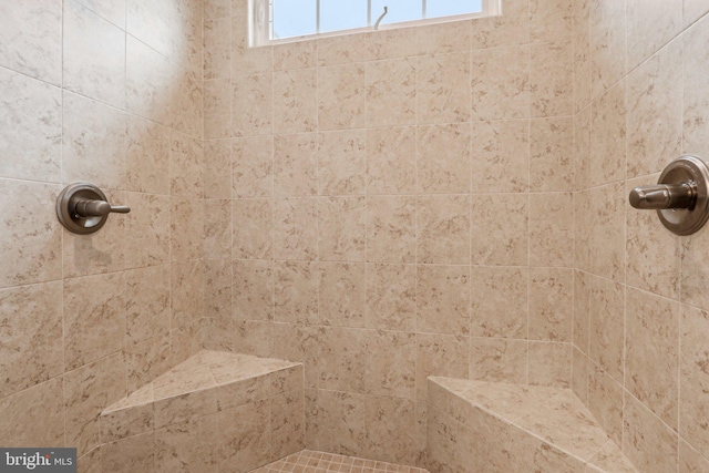 221 Patriots Path, Malvern, PA 19355 - full bath with a tile shower and plenty of natural light