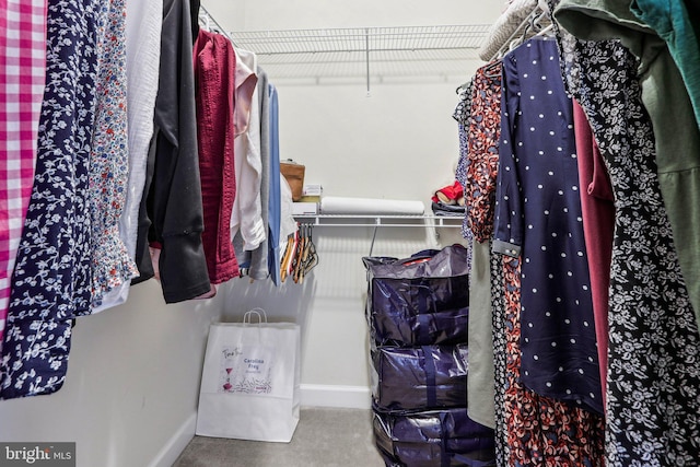 221 Patriots Path, Malvern, PA 19355 - spacious closet featuring carpet flooring