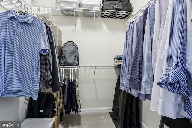 221 Patriots Path, Malvern, PA 19355 - walk in closet featuring carpet floors