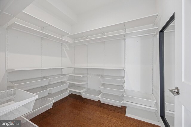 4548 Riverside Way, Philadelphia, PA 19127 - spacious closet with wood finished floors