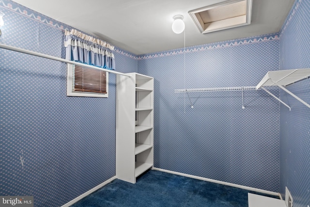 269 Burning Tree Rd, Delran, NJ 08075 - spacious closet with dark colored carpet and attic access