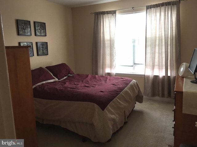 233 Flagstone Rd Unit 5, Chester Springs, PA 19425 - view of carpeted bedroom