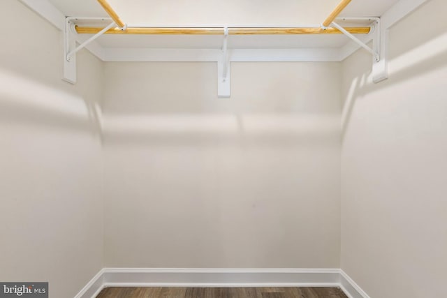 826 Quince Orchard Blvd Unit 101, Gaithersburg, MD 20878 - walk in closet featuring dark wood finished floors