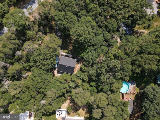 6508 Millcreek Rd, Laurel, DE 19956 - view of property location featuring a forest