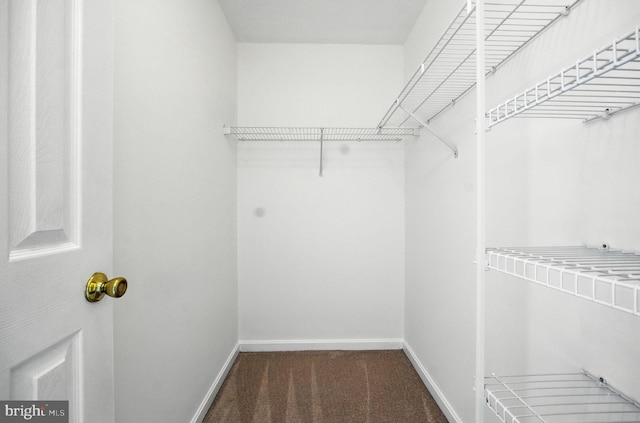 5311 Thomas Sim Lee Ter, Upper Marlboro, MD 20772 - spacious closet featuring carpet