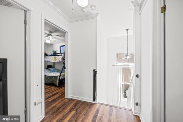 20 Woodvale Dr, Atco, NJ 08004 - corridor featuring dark wood-style flooring and ornamental molding