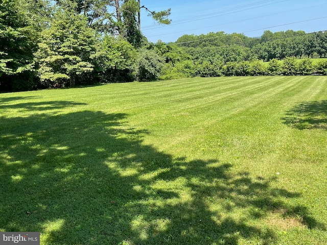 14311 Shelter Ln, Haymarket, VA 20169 - view of grassy yard