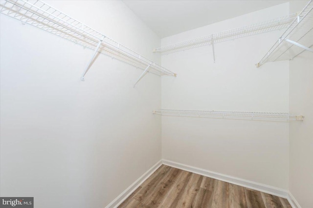 1806 Wheyfield Dr, Frederick, MD 21701 - spacious closet with wood finished floors