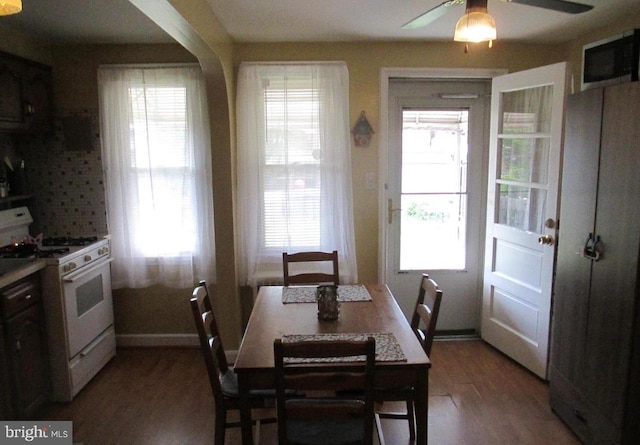 3642 Clarenell Rd, Baltimore, MD 21229 - dining room with wood finished floors and ceiling fan