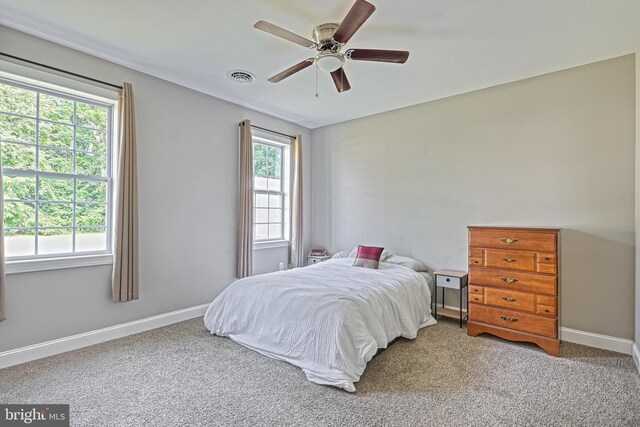 910 Cavalry St, Carlisle, PA 17013 - bedroom with multiple windows, carpet, and ceiling fan