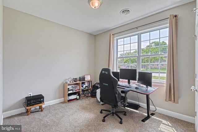 910 Cavalry St, Carlisle, PA 17013 - carpeted office space featuring healthy amount of natural light