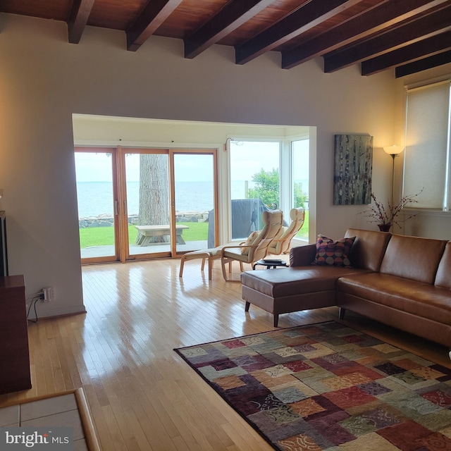 4715 Oak Rd, Shady Side, MD 20764 - living area with beam ceiling, plenty of natural light, hardwood / wood-style flooring, and a water view