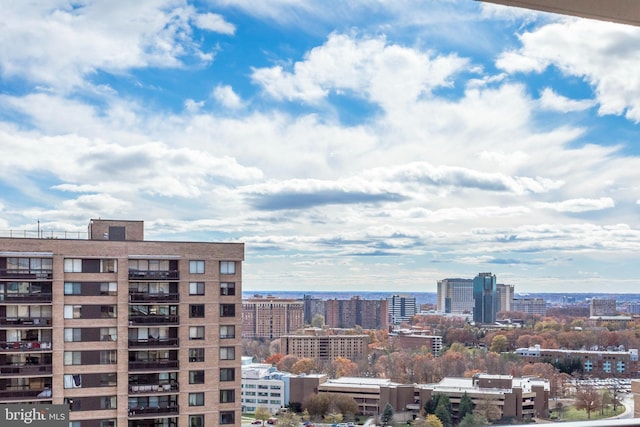 3701 S George Mason Dr Unit 901N, Falls Church, VA 22041 - city view