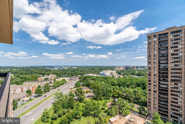 3701 S George Mason Dr Unit 901N, Falls Church, VA 22041 - view of urban area with a tree filled landscape