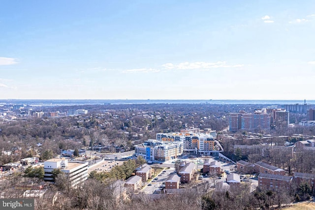 3701 S George Mason Dr Unit 901N, Falls Church, VA 22041 - view of urban area