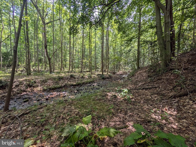 652 Moores Mountain Rd, Mechanicsburg, PA 17055