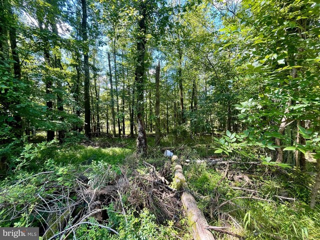 Valley Forge Rd, Randallstown, MD 21133