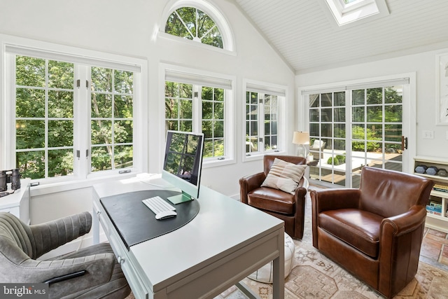 2109 Main St, Bethlehem, PA 18017 - home office featuring a skylight and high vaulted ceiling