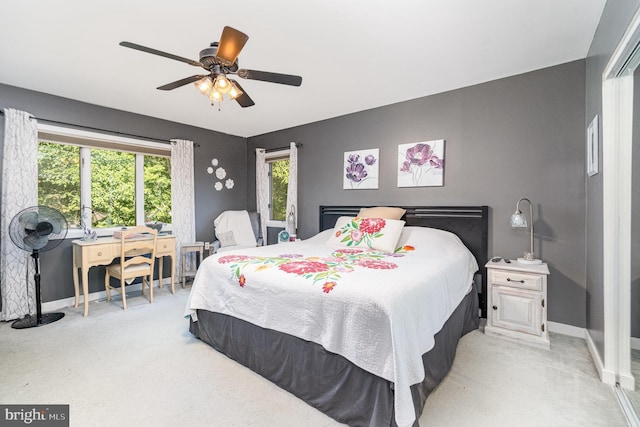 21 Black Bass, Fairfield, PA 17320 - bedroom with light carpet, multiple windows, and a ceiling fan