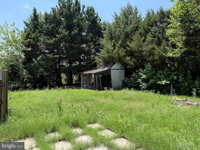4 Brook Ramble Ln, Townsend, DE 19734 - view of yard with a storage unit
