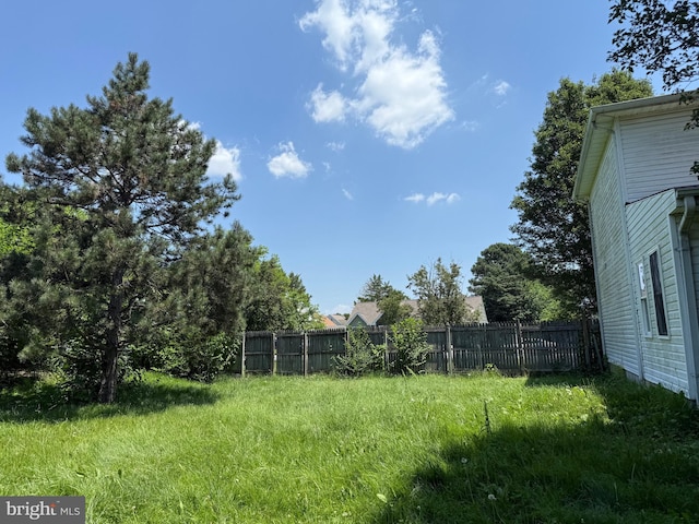 4 Brook Ramble Ln, Townsend, DE 19734 - view of yard