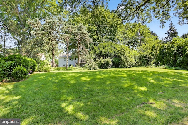 341 Ashford Dr, Lancaster, PA 17601 - view of grassy yard